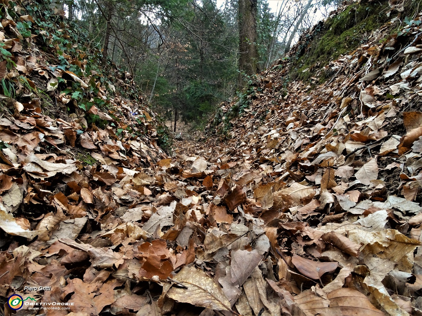 19 Tratto di sentiero ammantato di foglie.JPG